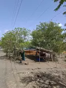 Bhopal Residents Protest Slum Resettlement on Green Belt
