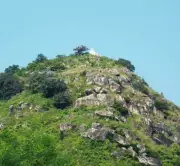 Bihar Plans to Transform Barren Hills into Eco-Tourism Hubs with 1 Lakh Saplings