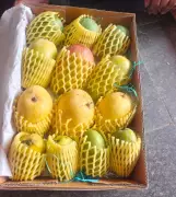 BJP chief Nitin Nabin sends premium mango hampers to 82 diplomats in Delhi