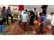 Bloom Avenue: Year-Round Flower Corridor on Bengaluru's Major Arterial Road