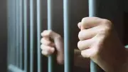 Boss's Repeated Queries Led to 303kg Cocaine Seizure, Executive Gets 10 Years
