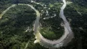 Brazil Reports Sharp Drop in Amazon Deforestation, Countering US Tariff Arguments