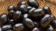Can Jamun Help Control Blood Sugar? Expert Explains Its Benefits for Diabetes