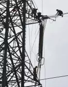 CBI Registers FIR in TN Power Corp Transformer Purchase Scam of ₹397 Crore
