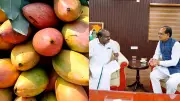 Centre Approves Procurement of Karnataka's Totapuri Mangoes, Kumaraswamy Grateful