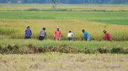 Centre Directs States to Activate Contingency Plans for Below-Normal Monsoon