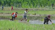 Centre Launches Month-Long Khet Bachao Abhiyan for Balanced Fertiliser Use