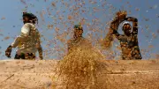 Centre Ramps Up Monsoon Contingency Plans as IMD Predicts Below-Normal Rain