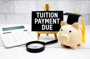 Chandigarh School Fee Portal Glitches Burden Teachers, Parents