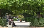 Chandigarh to Endure One More Heatwave Day Before Heavy Rain from July 2-6