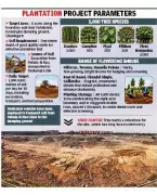Chandigarh to Plant 10,000 Trees, Shrubs at Dadumajra Dump Site in Green Drive
