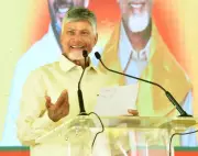 Chandrababu Naidu directs TDP leaders to engage in voter verification drive