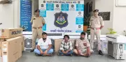 Chhani Police Bust Gang Stealing ACs, LED TVs; 6 Arrested