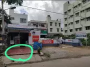 Chicken Shop Owner Accused of Poisoning Two Stray Dogs in Bengaluru