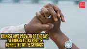 Chinese Proverb: A Broken Lotus Root Is Connected by Its Strings