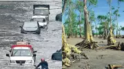 Climate Report Warns of Rising Heat, Rain, and Salinity in Bengal's Coastal Districts