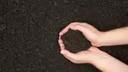 Compost vs Potting Soil vs Topsoil: Key Differences and Best Uses for Gardening