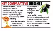 CSIR-NCL study proves jamun honey healthier, antioxidant-rich, at par with Manuka