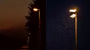 Darker Nights Boost Pollination and Pest Control, Study Finds