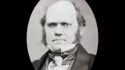 Darwin's Quote on Adaptability Still Resonates in Modern Life