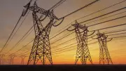 Delhi HC Allows CAG Audit of Discoms, Calls Petition Premature