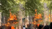 Delhi Malviya Nagar Restaurant Fire: Death Toll Rises to 21, Rescue Operations Underway