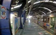 Delhi Metro Gets Nod to Fell or Transplant 364 Trees for New Corridor