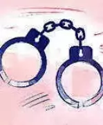 Delhi Police Arrests 5 in Multi-State Terror Module Linked to Pakistan Handler