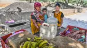 Delhi Woman, 65, Cares for Monkeys for 12 Years, Seeks Water Facility