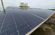 Delhi's Rooftop Solar Surge: Over 24,000 Users Generate 420 MW Peak Power