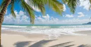Delvia Holidays International Reviews Bengaluru: What to Know Before Booking