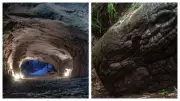 Discover the Mystery of Naga Cave: Thailand's Serpent Rock Formation