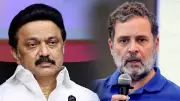 DMK Attacks Rahul Gandhi Over Alliance Rift, Congress Rebuts Allegations
