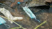 Doctor booked for dumping biomedical waste into Bengaluru lake canal
