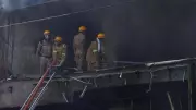 Dozens of Animals Rescued from Fire-Hit Pet Facility in Lucknow