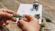 Drug seizures drop in 2025 despite rising cases and arrests: NCB