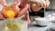 Egg White vs Egg Yolk: Which Has More Nutrition and Protein?