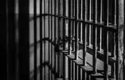 Emu Farm Scam: Two Sentenced to 10 Years in Coimbatore