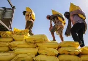 Energy Security, Fertiliser Subsidy Among India's Key Challenges