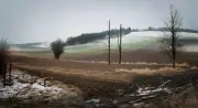 Europe's Winter Snow Cover Declines Drastically, Study Reveals