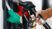 Experts call for lower ethanol fuel, flex fuel vehicle prices to boost demand
