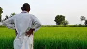 Farmers Arrested on KIADB Premises in Karnataka's Chikkaballapur; Protests Erupt