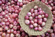 Farmers Demand Rs 3,000 Per Quintal Support Price as Centre Relaxes Onion Procurement Norms