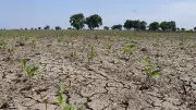 Farmers Demand Total Crop Loan Waiver in Karnataka's Dharwad