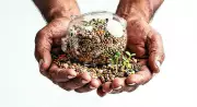 Farmers in Gujarat Revive Traditional Seeds to Combat Climate Change