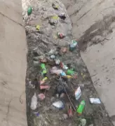 Farmers in Hisar Allege Industrial Waste Dumping in Canal, Seek Action