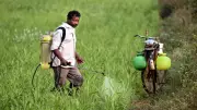 Fertiliser Normalcy May Take 3-4 Months Despite US-Iran Peace Deal