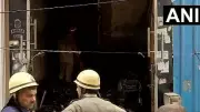 Fire Breaks Out in Delhi's Shahdara Godown, One Rescued