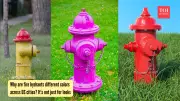 Fire Hydrants: Engineering, Colors, and How They Work Explained