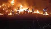 Forest beat officer dies after falling into gorge while returning from fire control duty
